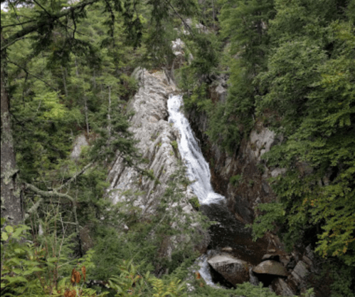 A serene waterfall cascading over rocky terrain, surrounded by lush green trees and foliage.