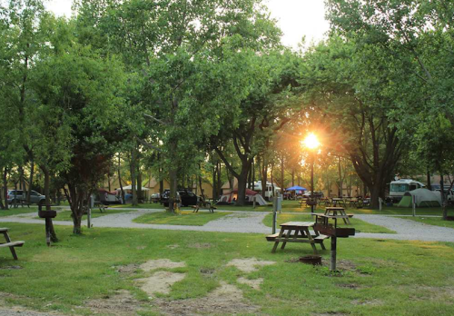 A serene campsite with picnic tables, surrounded by trees, as the sun sets in the background.
