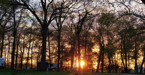 Sunset peeking through trees in a wooded area, with silhouettes of camping structures in the foreground.