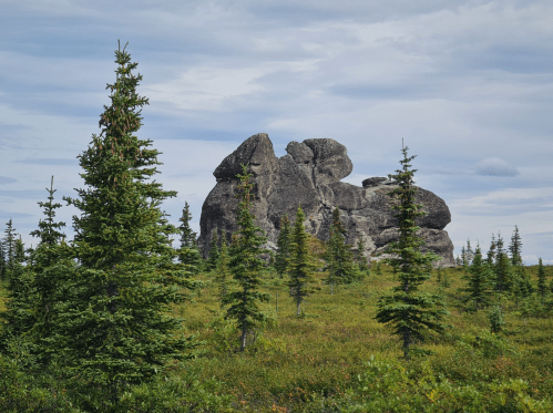 A large rock formation surrounded by evergreen trees under a cloudy sky in a natural landscape.