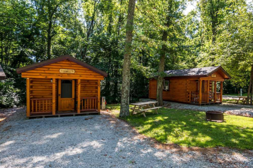 Two wooden cabins surrounded by trees, with a picnic table and fire pit in a gravel area.
