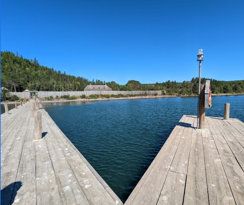 A serene view of a wooden dock extending into calm water, surrounded by lush greenery under a clear blue sky.