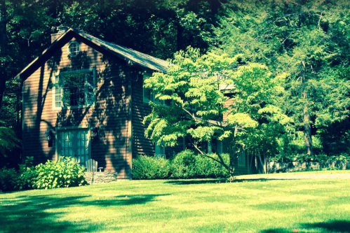 A charming wooden house surrounded by lush greenery and trees, set in a serene outdoor environment.