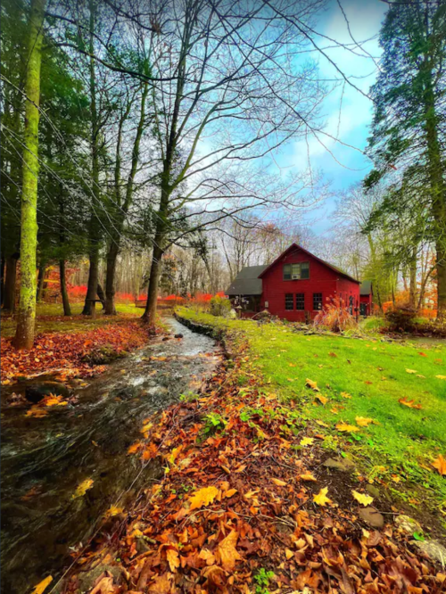 A red cabin surrounded by trees and autumn leaves, with a stream flowing nearby under a partly cloudy sky.