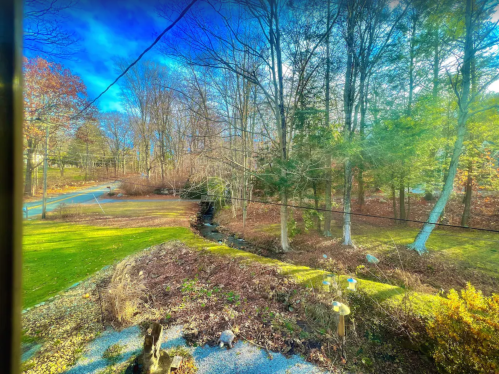 A serene landscape featuring trees, a stream, and a clear blue sky, viewed from a window.