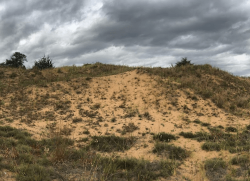 A sandy hill covered with sparse grass and shrubs under a cloudy sky.