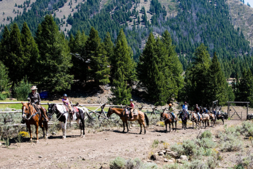 A line of horseback riders on a dirt path, surrounded by trees and mountains in a sunny outdoor setting.