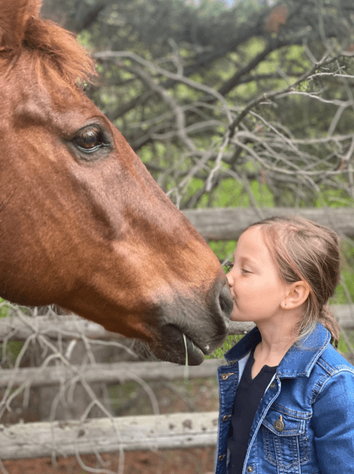 A young girl kisses a horse's nose, surrounded by trees and a wooden fence.