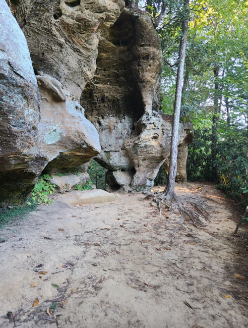 A rocky cave entrance surrounded by trees and greenery, with a sandy path leading into the cave.