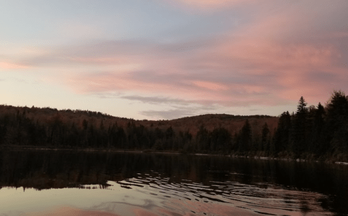 A serene lake at sunset, reflecting soft pink and purple hues in the sky, surrounded by trees and mountains.