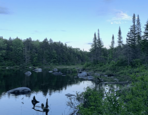 A serene landscape featuring a calm lake surrounded by trees and rocks under a twilight sky.