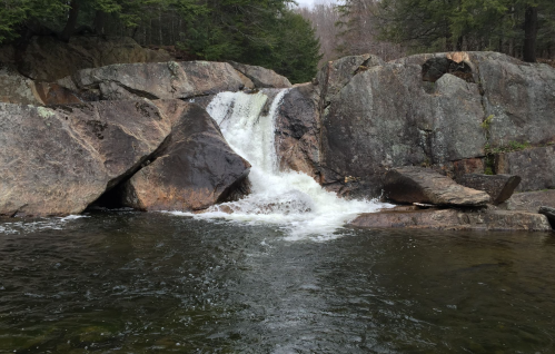 A serene waterfall cascading over rocks into a calm pool, surrounded by lush greenery and trees.
