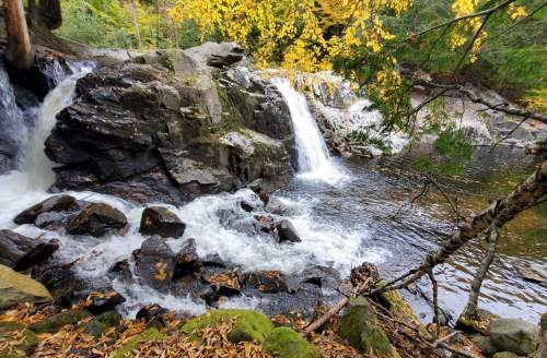 A serene waterfall cascades over rocks into a calm pool, surrounded by autumn foliage and vibrant yellow leaves.