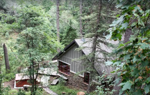 A cozy cabin nestled among tall trees in a lush green forest.
