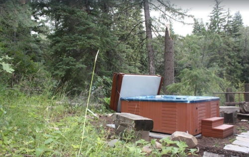 A hot tub surrounded by trees and greenery, with a stone path leading to it.
