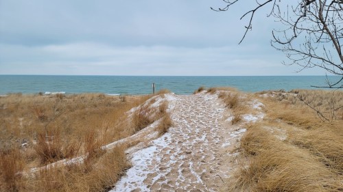 A sandy path leads to a calm lake, surrounded by tall grass and a cloudy sky.