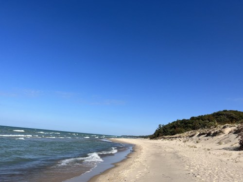 A serene beach scene with gentle waves, soft sand, and a clear blue sky, bordered by lush greenery.