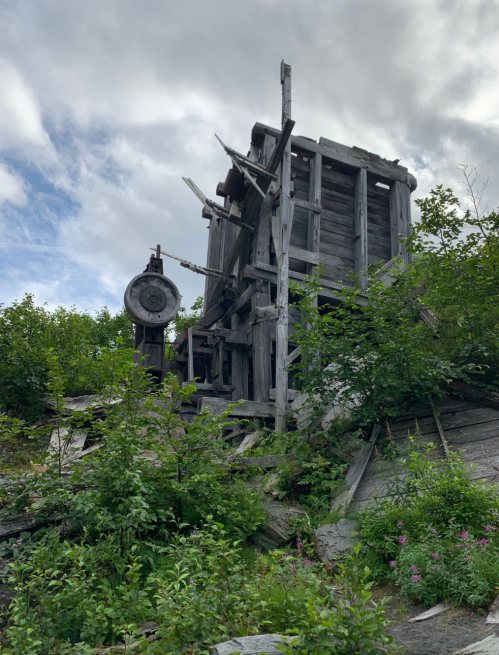 A weathered wooden structure partially covered in greenery, set against a cloudy sky.