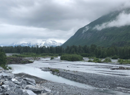 A serene river flows through a rocky landscape, surrounded by lush greenery and misty mountains under a cloudy sky.