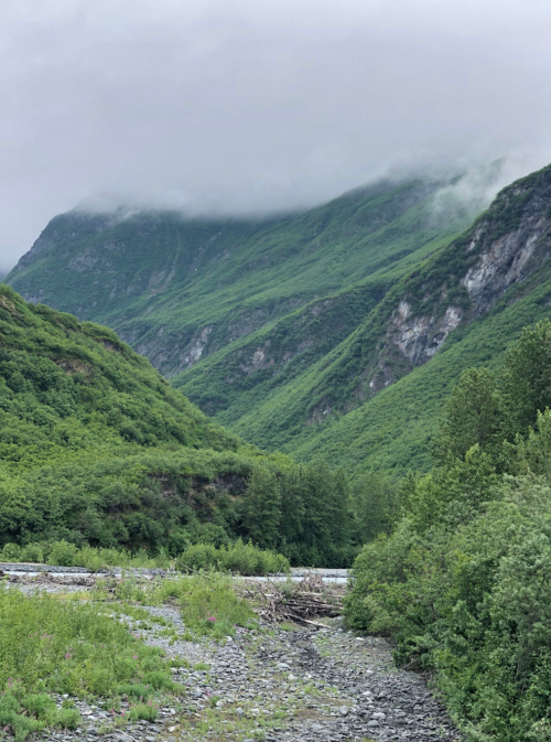 Lush green mountains shrouded in mist, with a rocky riverbed in the foreground and dense vegetation throughout.