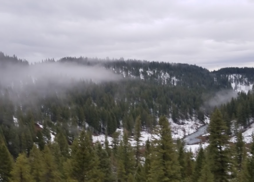 A misty landscape of evergreen trees and a river, with snow on the ground under a cloudy sky.