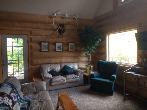 Cozy log cabin living room with a leather sofa, green armchair, and large windows letting in natural light.