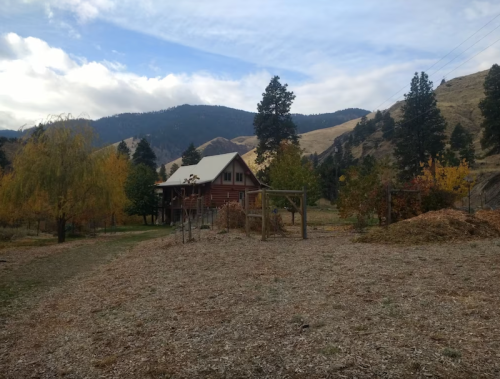 A rustic cabin surrounded by trees and mountains, with autumn foliage and a clear sky in the background.