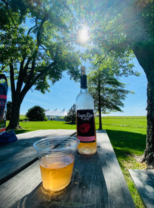 A bottle of wine and a glass sit on a picnic table, with a sunny outdoor scene and trees in the background.