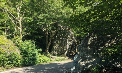 A winding road surrounded by lush green trees and large rocks, creating a serene natural landscape.