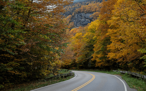 A winding road surrounded by vibrant autumn foliage in shades of orange and yellow.