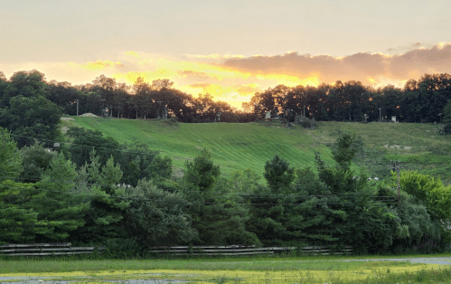 A sunset over a green hillside, framed by trees and a clear sky, creating a serene landscape.