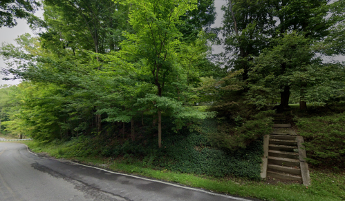 A winding road bordered by lush green trees, with stone steps leading up a grassy hill.
