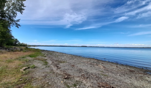 A serene lakeside view with a rocky shore, lush greenery, and a clear blue sky reflecting on the calm water.