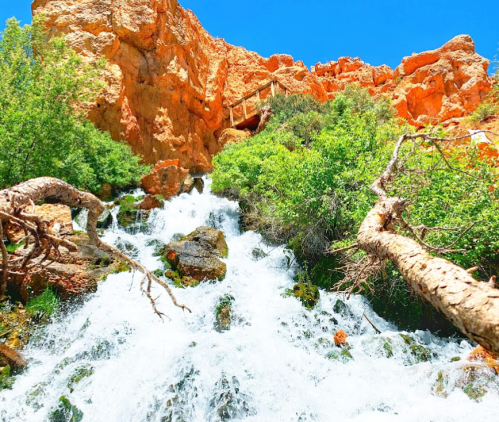 A cascading waterfall flows over rocks, surrounded by lush greenery and red rock formations under a clear blue sky.