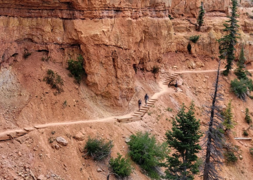 Two hikers navigate a winding dirt trail with wooden steps along a rocky, reddish landscape. Pine trees dot the area.