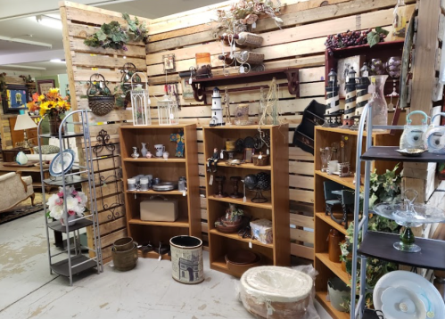 A cozy shop corner with wooden shelves displaying various decorative items and plants against a rustic wooden wall.