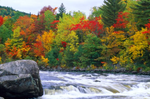 A vibrant autumn landscape featuring colorful trees along a rushing river, with rocks in the foreground.