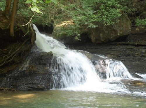 A serene waterfall cascading over rocks, surrounded by lush green trees in a tranquil forest setting.