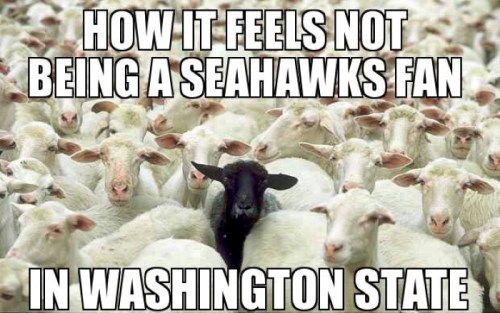 A black sheep stands out among a crowd of white sheep, symbolizing feeling different as a non-Seahawks fan in Washington.