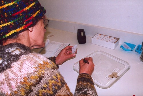 A person in a colorful hat examines a specimen on a table, taking notes in a lab setting.