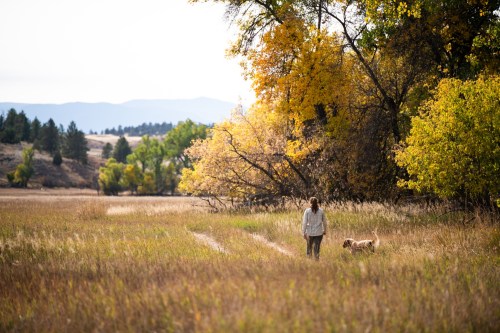 A person walks a dog along a grassy path in a colorful autumn landscape with trees and mountains in the background.