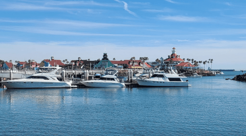 A serene marina with several yachts docked, surrounded by palm trees and a coastal building under a clear blue sky.