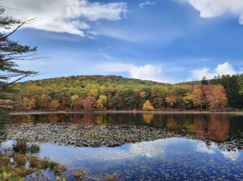 A serene lake reflects vibrant autumn foliage and a blue sky with fluffy clouds, surrounded by colorful trees.