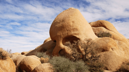 A large rock formation resembling a skull, surrounded by desert vegetation under a blue sky with clouds.