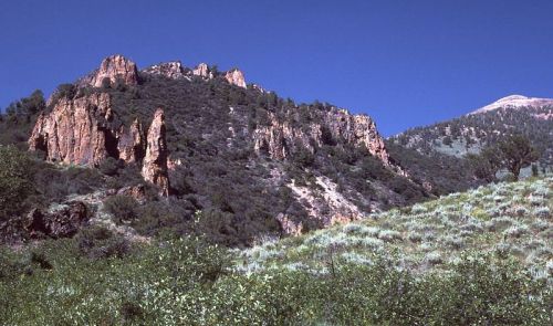 Rocky hillside with green vegetation under a clear blue sky.