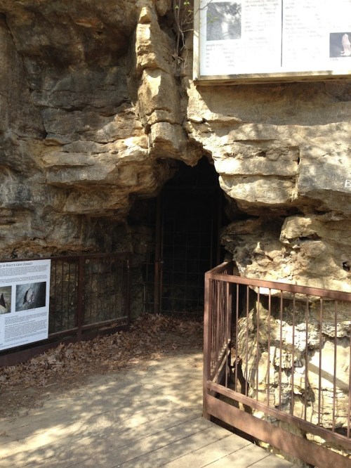 Entrance to a cave with a metal gate, surrounded by rocky walls and informational signs nearby.