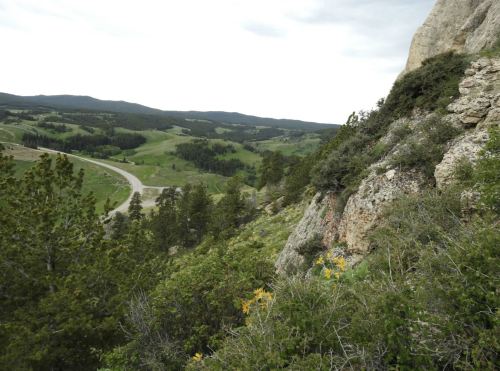 A scenic view of rolling green hills and a winding road, framed by rocky cliffs and scattered trees under a cloudy sky.