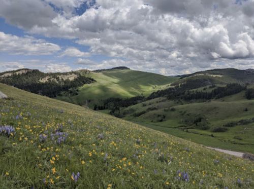A lush green landscape with rolling hills, wildflowers, and a cloudy sky in the background.