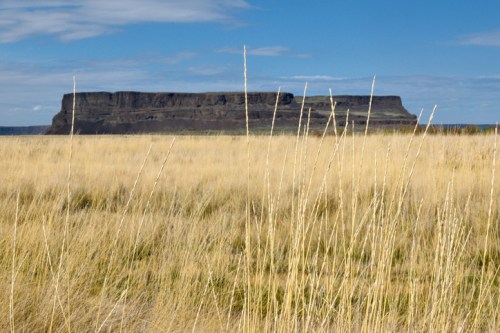 A flat-topped plateau rises above golden grasslands under a blue sky with scattered clouds.