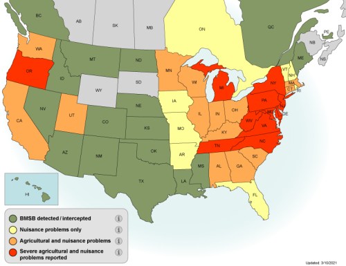 Map of the U.S. showing areas affected by Brown Marmorated Stink Bug, with varying levels of agricultural and nuisance issues.